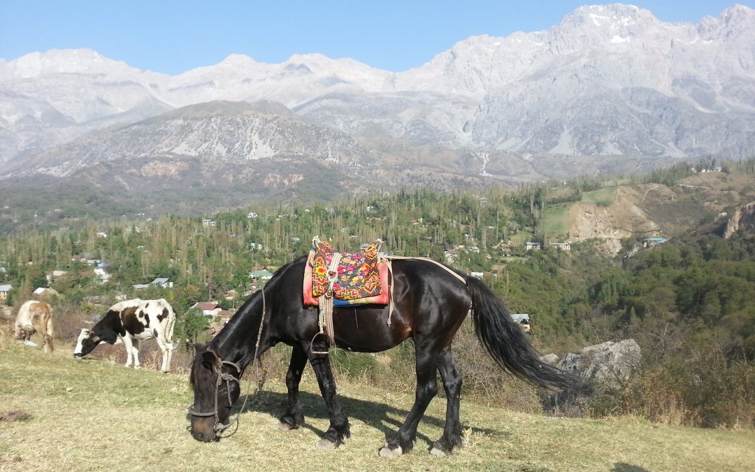 Kirgistan – Ein Land fernab vom Massentourismus, geprägt von den Ausläufern des Himalaya!