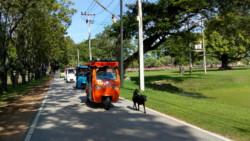 Fahrt mit dem Tuk Tuk in Sukhothai